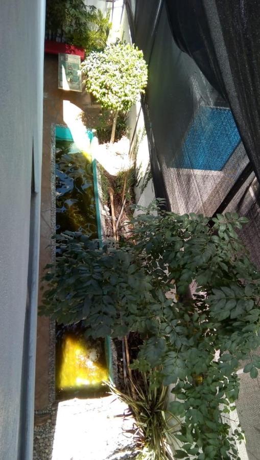 Pachuca Casa Zen酒店 外观 照片